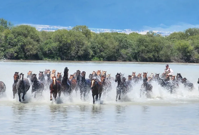 1761902053726677.png image.png