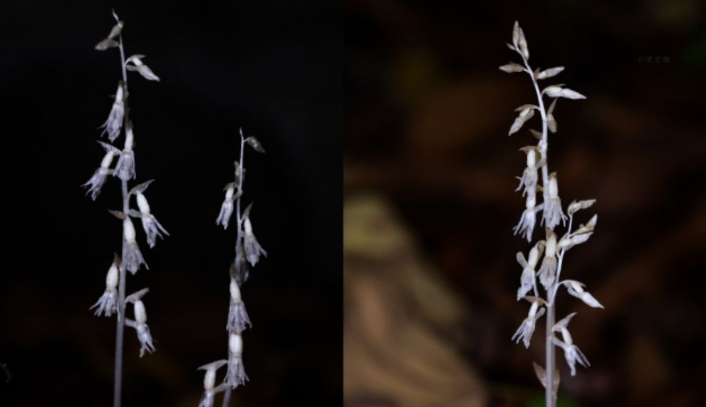 ef066b6b8deaa3ff1a1975b9127d7478.png