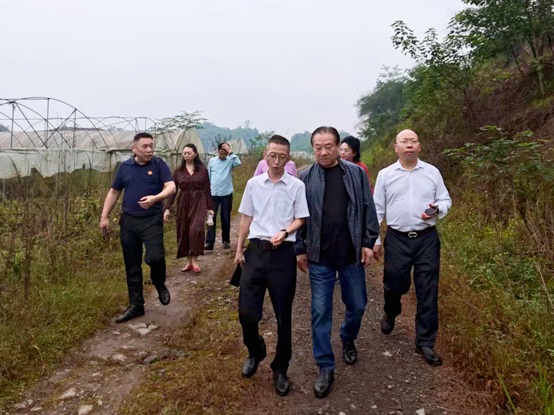 图片112_副本.jpg